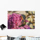Honeybee on a dark pink Sedum flower Wall Mural