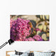 Honeybee on a dark pink Sedum flower Wall Mural