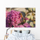 Honeybee on a dark pink Sedum flower Wall Mural