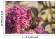 Honeybee on a dark pink Sedum flower Wall Mural