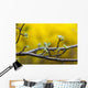 Apple flower buds against a yellow background Wall Mural