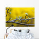 Apple flower buds against a yellow background Wall Mural