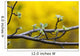 Apple flower buds against a yellow background Wall Mural