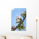 Pink and white crabapple flowers against a blue sky Wall Mural