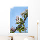 Pink and white crabapple flowers against a blue sky Wall Mural