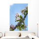 Pink and white crabapple flowers against a blue sky Wall Mural