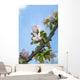 Pink and white crabapple flowers against a blue sky Wall Mural