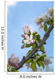 Pink and white crabapple flowers against a blue sky Wall Mural