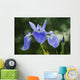 Blue Flag Iris Wall Mural