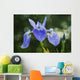 Blue Flag Iris Wall Mural