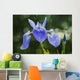 Blue Flag Iris Wall Mural