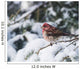 Male purple finch on a snow covered tree Wall Mural