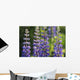 Bluebonnet lupine Wall Mural