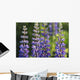 Bluebonnet lupine Wall Mural