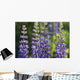 Bluebonnet lupine Wall Mural
