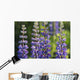 Bluebonnet lupine Wall Mural