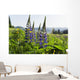 Bluebonnet lupine Wall Mural