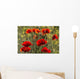 Red poppy Wall Mural