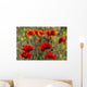 Red poppy Wall Mural