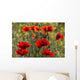 Red poppy Wall Mural