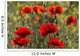 Red poppy Wall Mural