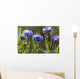 Cornflowers Wall Mural