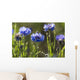 Cornflowers Wall Mural