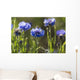 Cornflowers Wall Mural