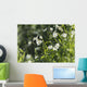 Buttercup Wall Mural