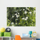 Buttercup Wall Mural