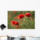 Red poppy Wall Mural