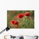Red poppy Wall Mural