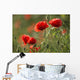 Red poppy Wall Mural