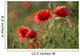 Red poppy Wall Mural