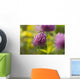 Red clover Wall Mural
