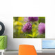 Red clover Wall Mural