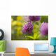 Red clover Wall Mural