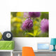 Red clover Wall Mural