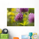 Red clover Wall Mural