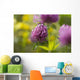 Red clover Wall Mural