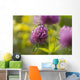 Red clover Wall Mural