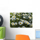 Marguerite Wall Mural