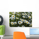 Marguerite Wall Mural