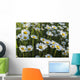 Marguerite Wall Mural