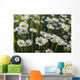 Marguerite Wall Mural