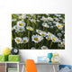 Marguerite Wall Mural