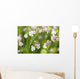 Bladder campion Wall Mural