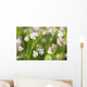 Bladder campion Wall Mural