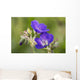 Wild geranium Wall Mural