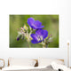 Wild geranium Wall Mural